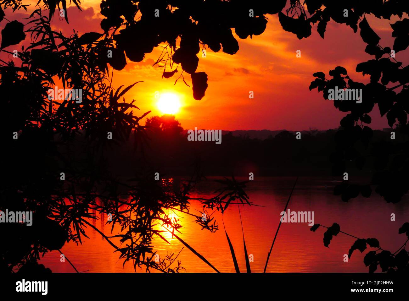 Incredibile alba o tramonto nella scena rurale. Luce del sole sull'acqua di un lago. Cielo suggestivo con silhouette di vegetazione in primo piano. Foto Stock
