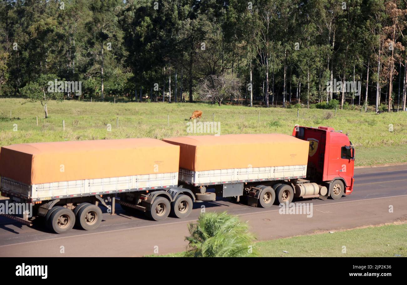 UMUARAMA, PR - 14.08.2022: TRÁFEGO DE CAMINHÕES NA PR 323 EM UMUARAMA - traffico camion su PR-323, a Umuarama nella regione nord-occidentale di Paraná. L'autostrada collega il comune di Cianorte (capitale dell'abbigliamento) al Salto del Guairá, in Paraguay. Nella foto, camion sull'autostrada PR-323, a Umuarama. (Foto: Dirceu Portugal/Fotoarena) Foto Stock