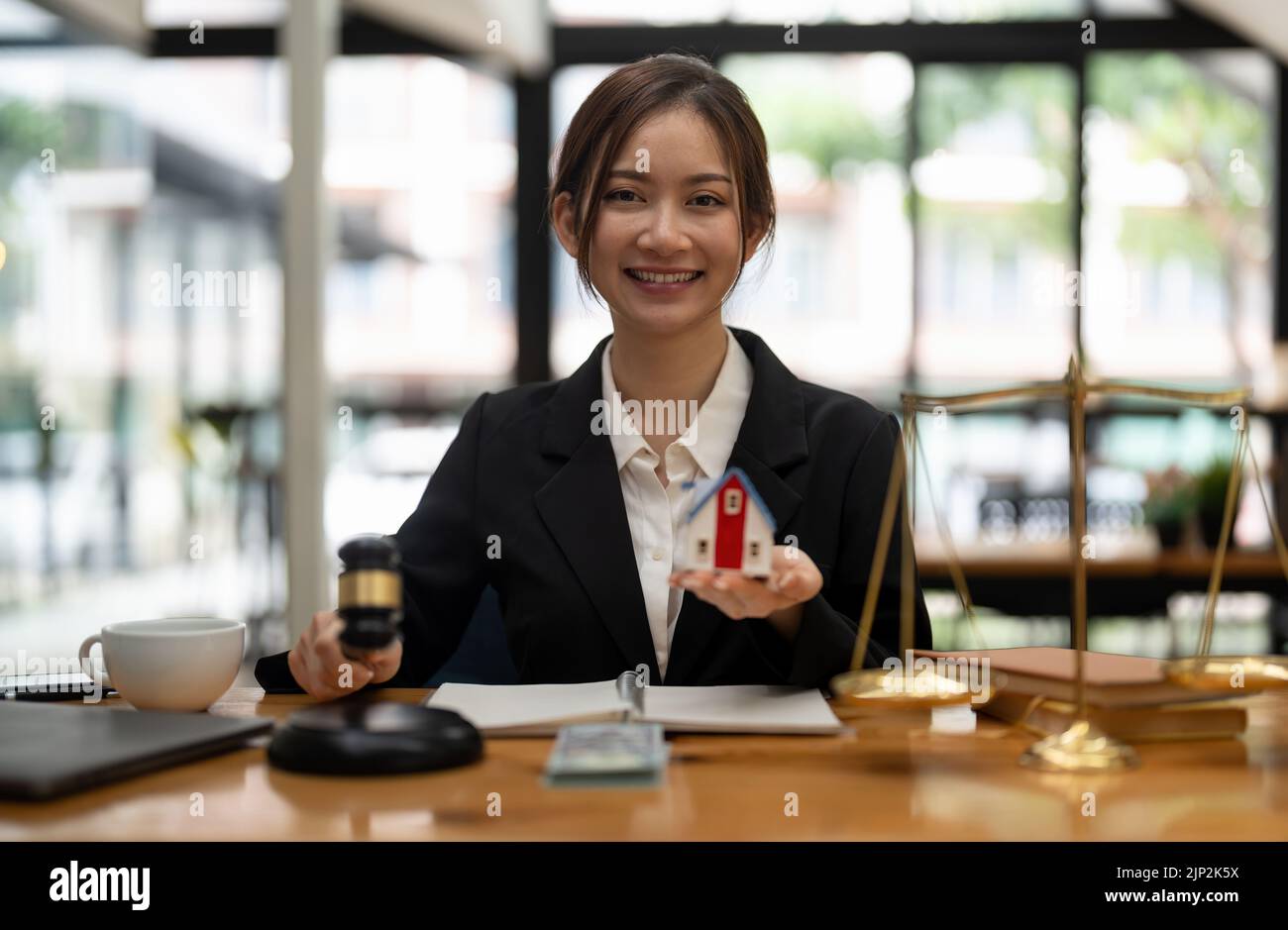 Ritratto agente immobiliare avvocato o consulente finanziario consulenza con il cliente per l'investimento. Concetto assicurativo e immobiliare Foto Stock