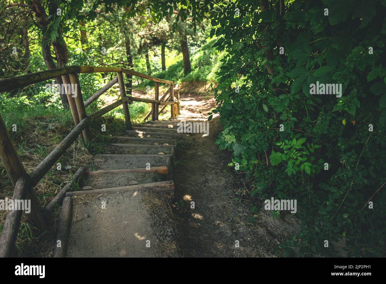 Vecchi gradini di legno fatti di tronchi nella foresta. Foto Stock
