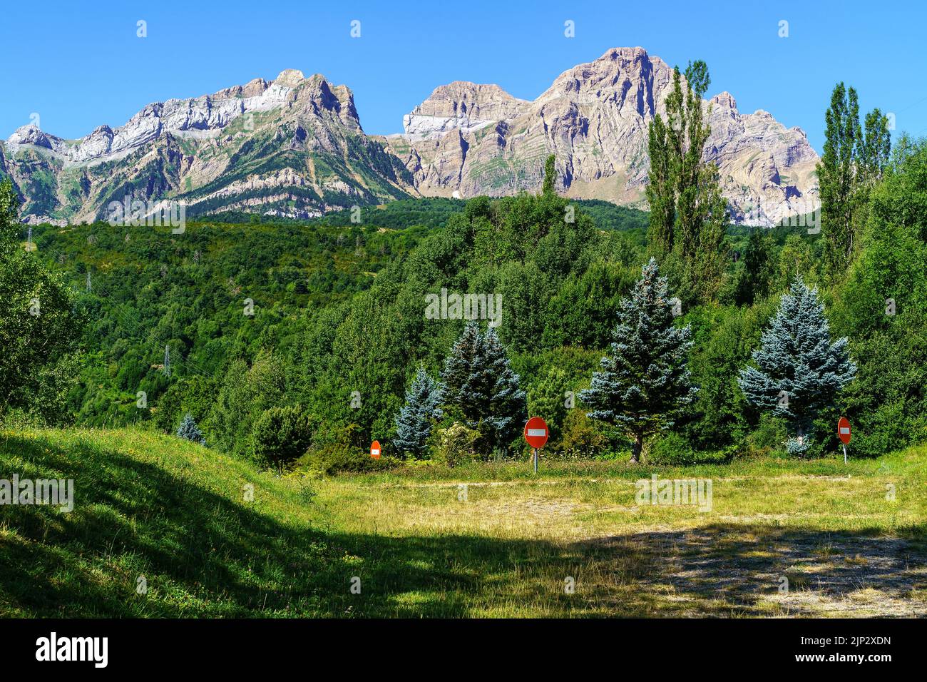 Verde paesaggio di alta montagna con conifere e alte vette nei Pirenei, Aragona, Spagna. Europa. Foto Stock