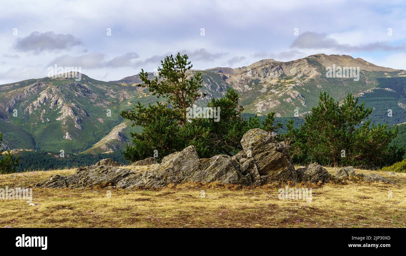 Paesaggio di rocce con piante verdi, cielo suggestivo con nuvole e montagne lontane. Foto Stock