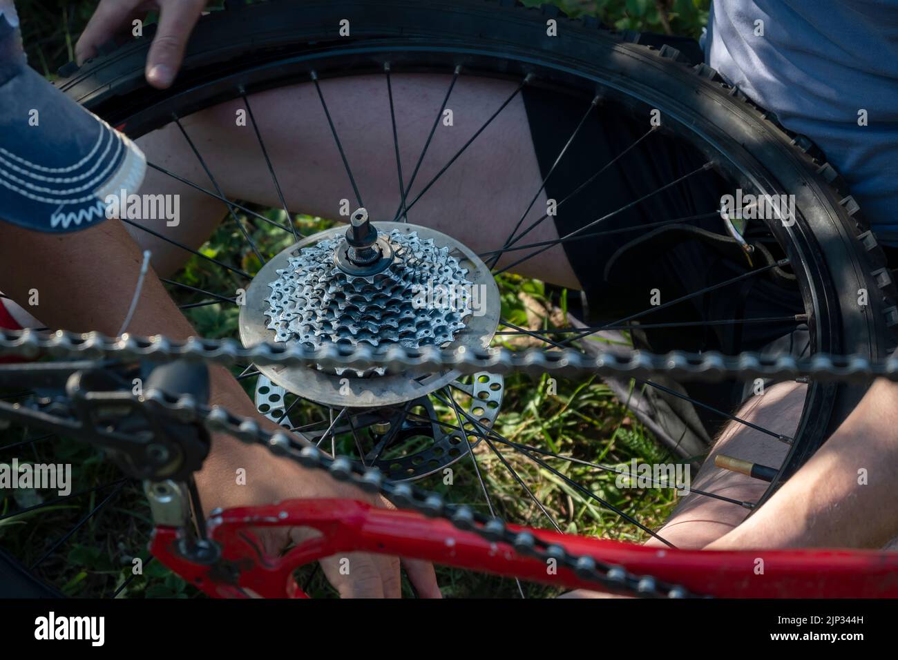 primo piano, la stella della catena di velocità di commutazione di una mountain bike e una ruota rimossa in mano di una persona, un ciclista Foto Stock