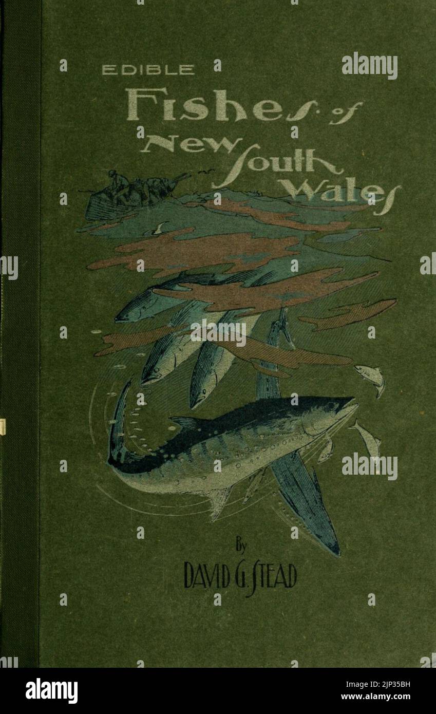 I pesci commestibili del nuovo Galles del Sud 1908 copertina Foto Stock