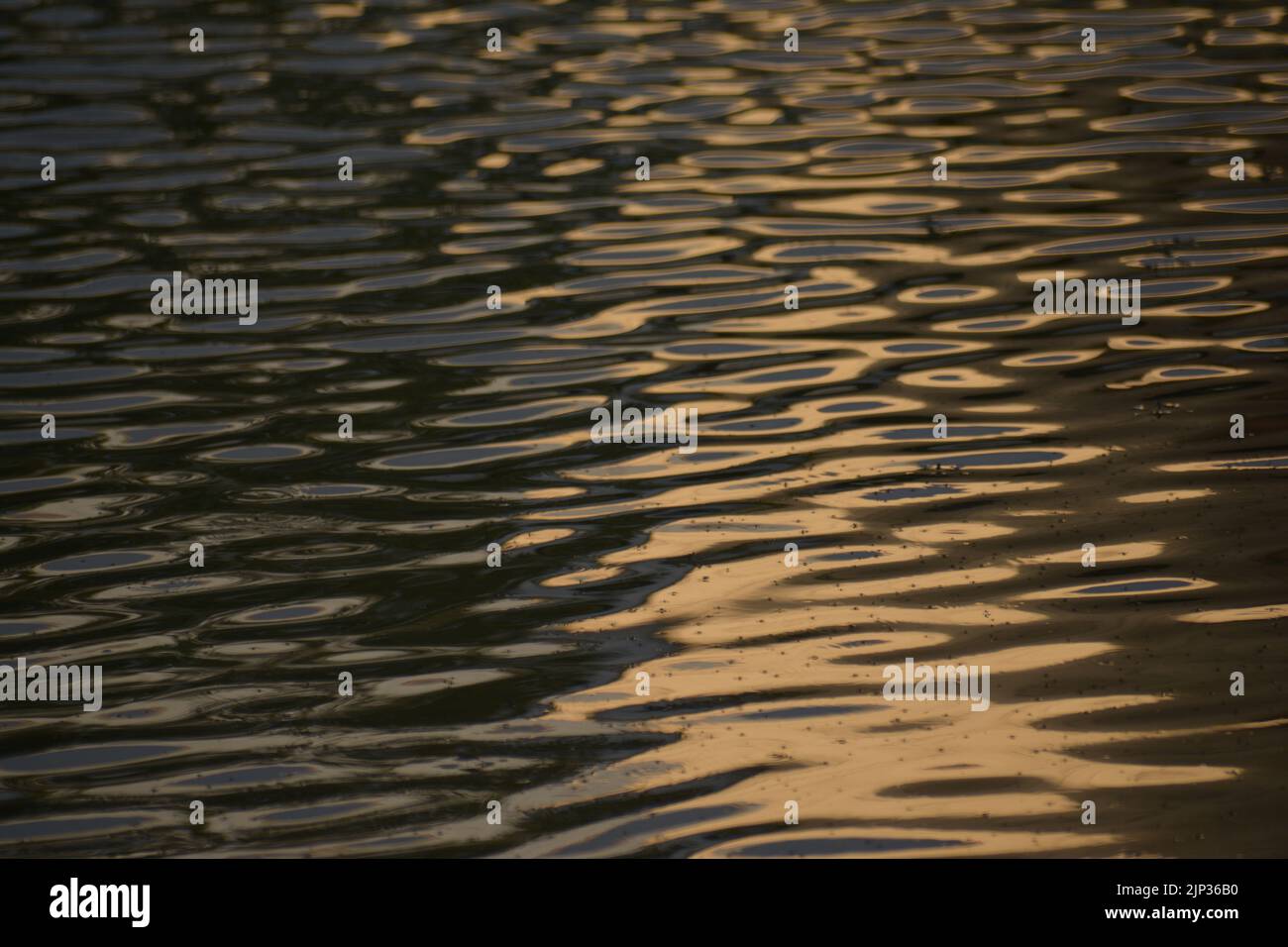 Abstract​ water​ superficie con reflected​​ sunlight​ Foto Stock