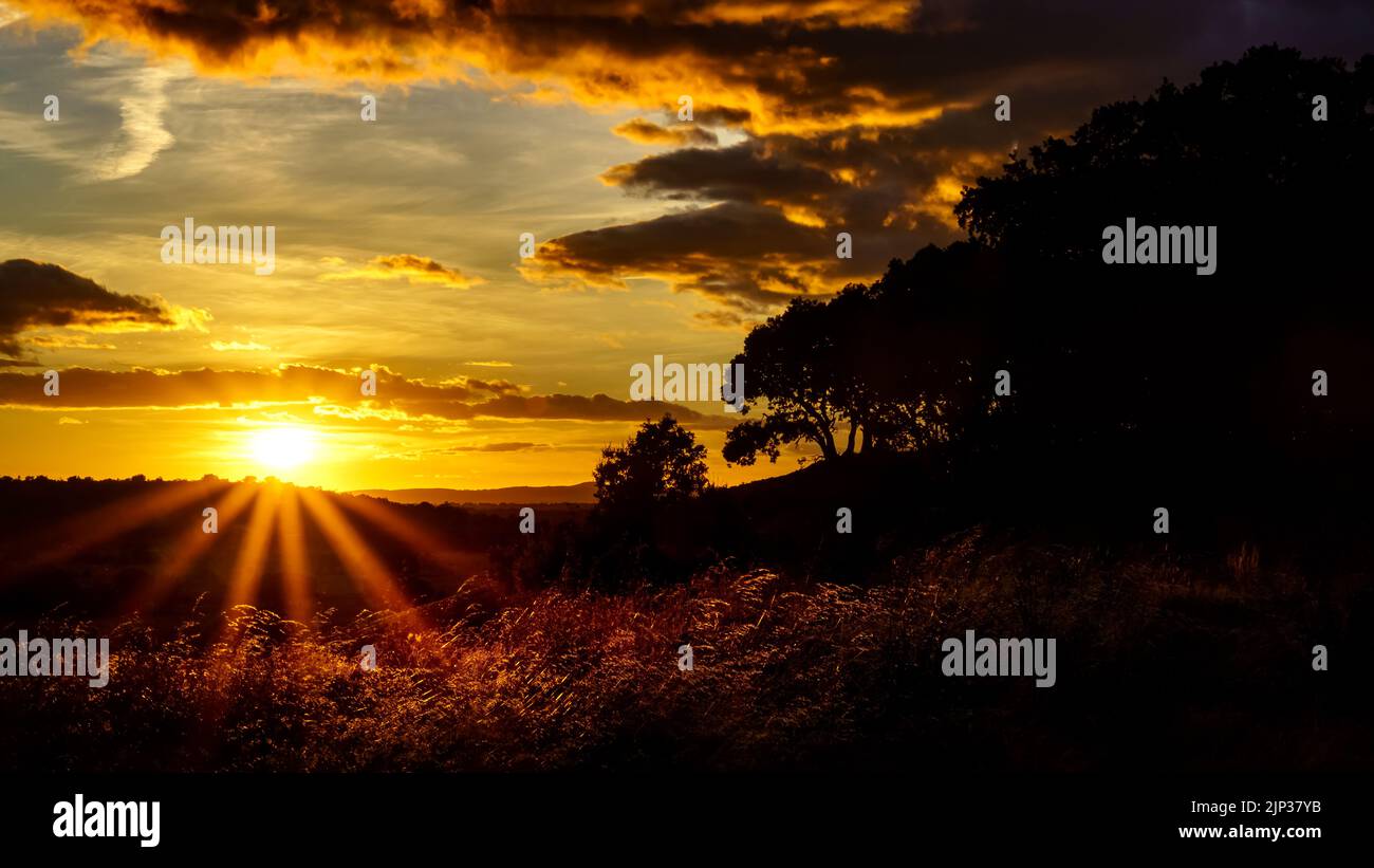Tramonto paesaggio nel campo, alberi, terra rossa e cielo con grandi nuvole nei toni blu e arancione del crepuscolo. Foto panoramica grandangolare. Spagna. Foto Stock