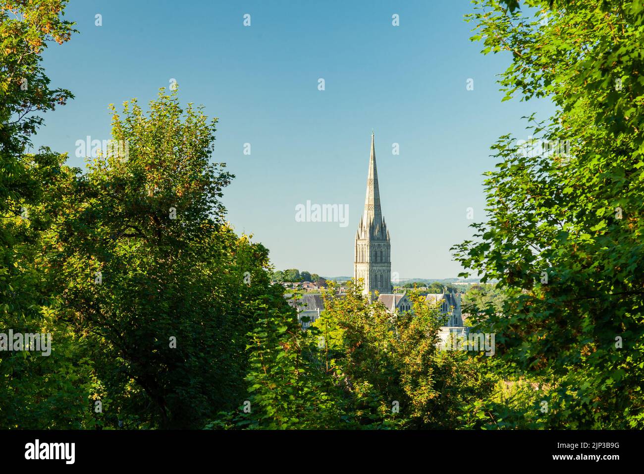 Salisbury Cathedral visto da Harnham Hill in un pomeriggio d'estate. Wiltshire, Inghilterra. Foto Stock