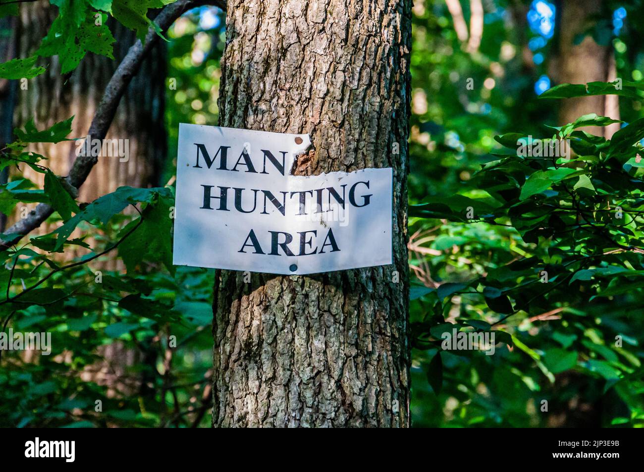Man Hunting Area, Annapolis Rocks, Maryland USA, Annapolis Rock, Maryland Foto Stock