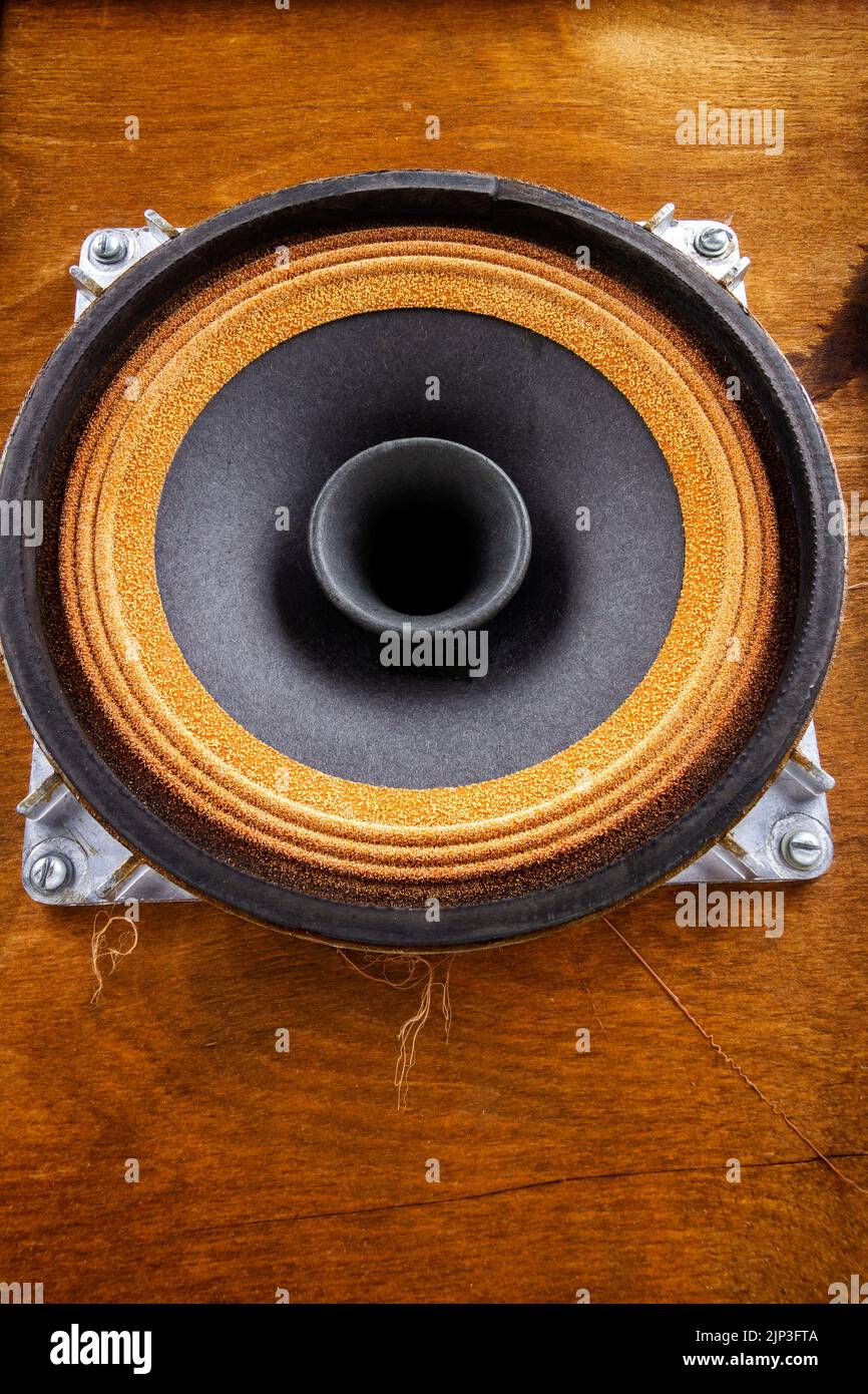 Primo piano del vecchio driver full range in speaker vintage Foto Stock