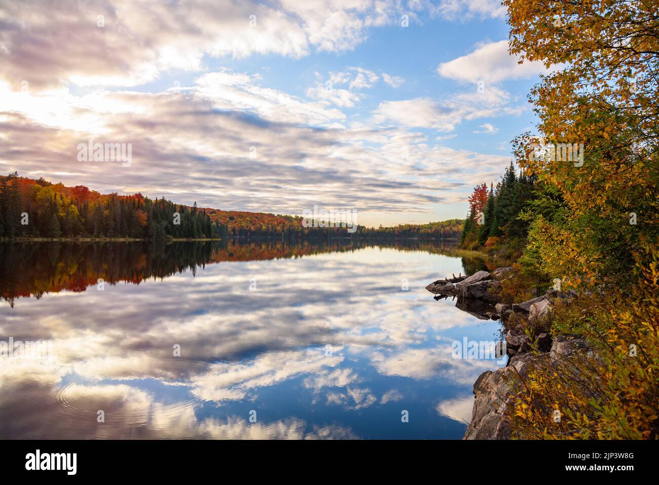 Maestoso lago circondato dalla foresta al picco dei colori autunnali al sole. Riflessione in acqua. Foto Stock