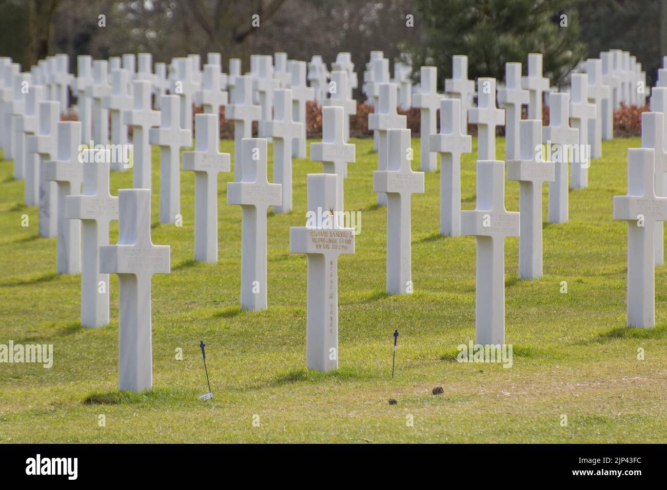 Il cimitero americano della Normandia con croci bianche in memoria dei soldati caduti in Francia Foto Stock