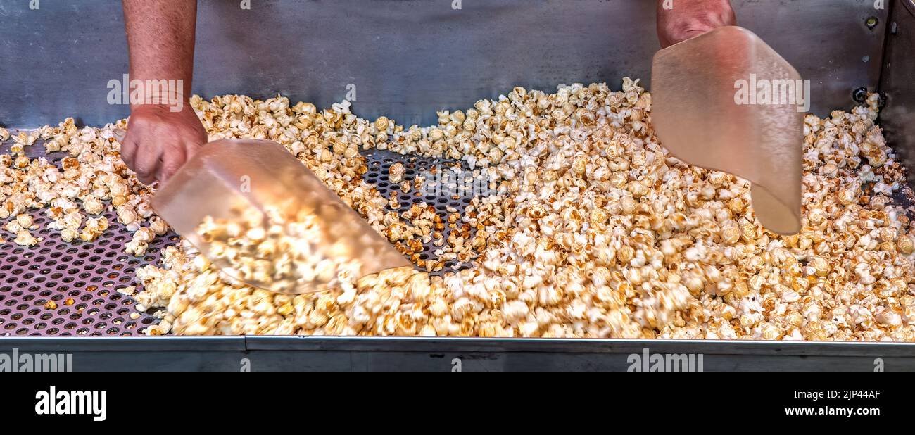 Popcorn bollitore fresco. L'operatore lo mescola con sale e forse zucchero permettendo ai chicchi di scarto non schioccati di cadere attraverso i fori nel vassoio di vagliatura Foto Stock