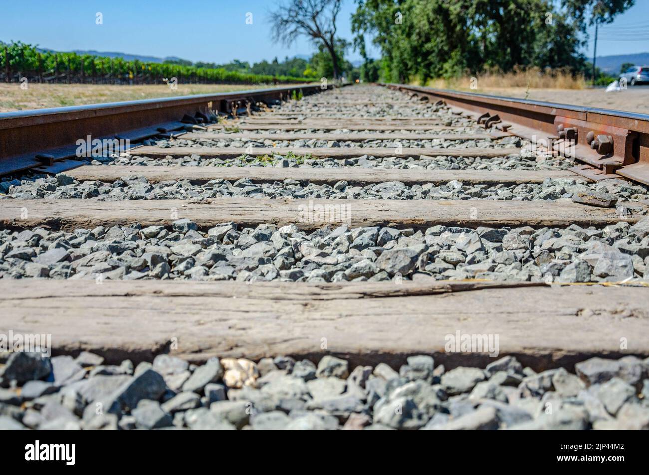 Linee ferroviarie scomparendo in lontananza Foto Stock