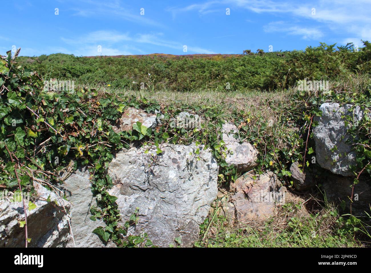 Cerchi di Ty Mawr Stone Hut Foto Stock