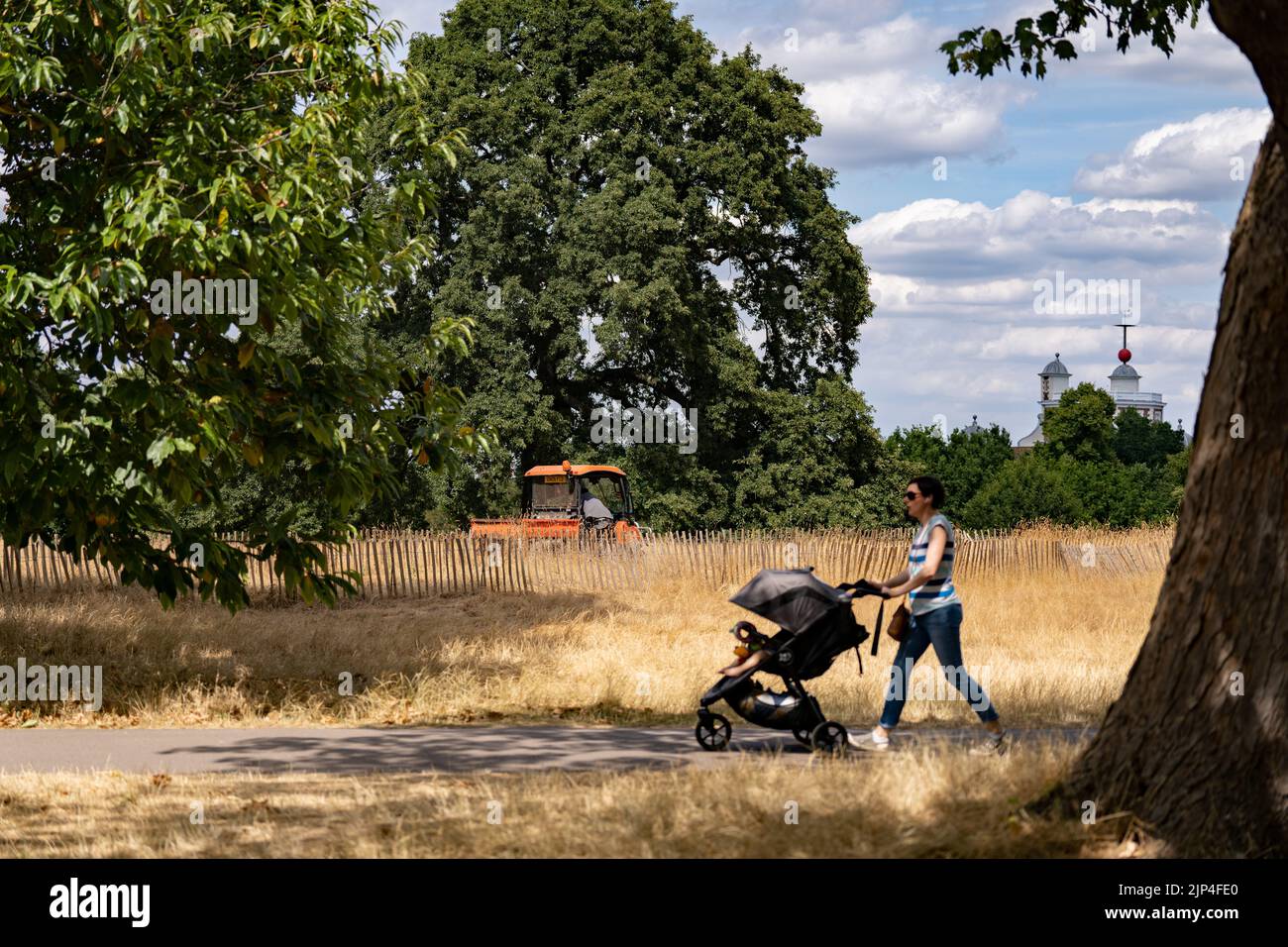 giovane madre che cammina in un parco e spinge il suo carrello del bambino Foto Stock