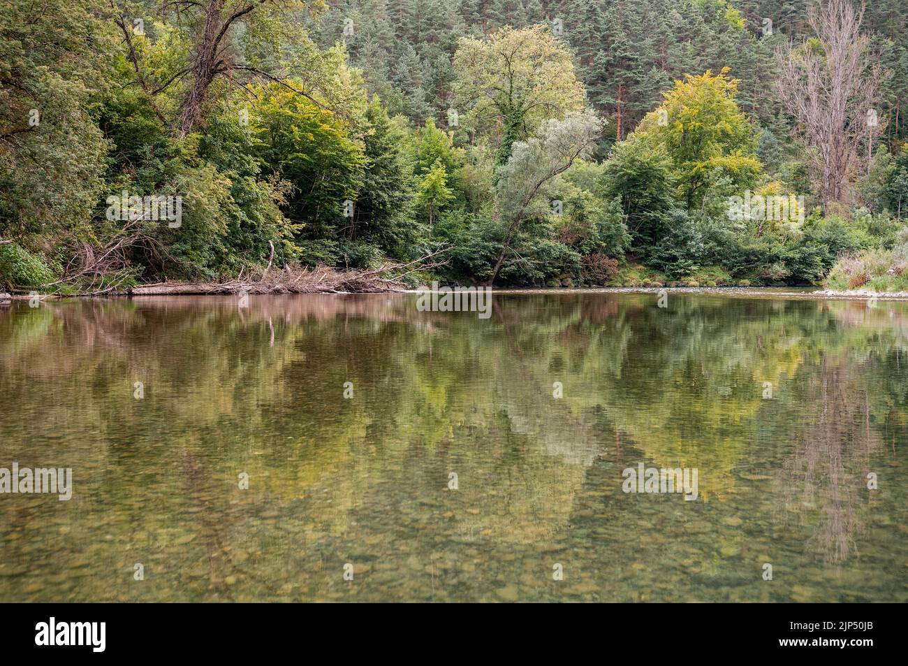 Bella natura fiume e foresta, Gorges du Tarn, Lozere, Francia Foto Stock