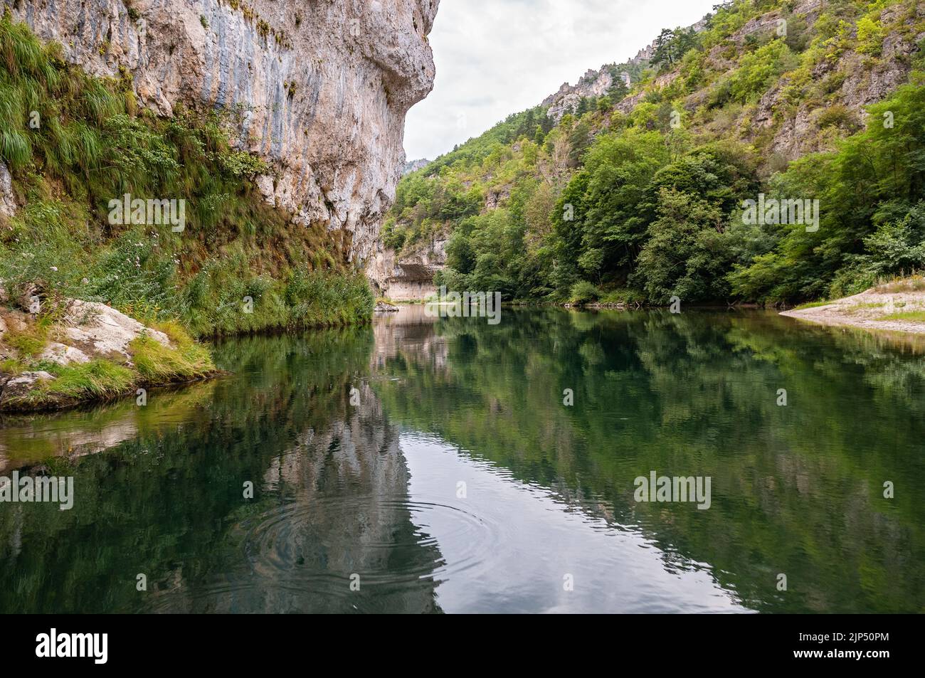 Serenità nelle Gorges du Tarn, Lozere, Francia Foto Stock