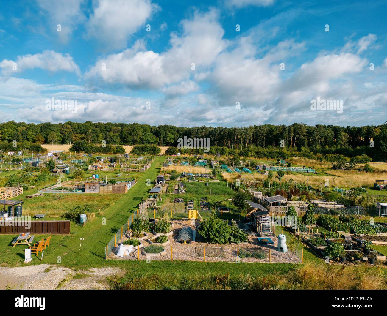 Veduta aerea degli allogamenti di Alwoodley nel nord di Leeds. Assegnazioni per giardinaggio vegetale e piante commestibili in crescita. Foto Stock