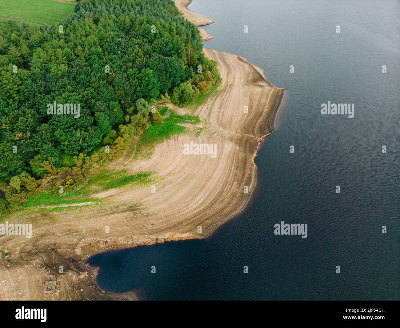 Veduta aerea del bosco che circonda il bacino idrico di Thruscross nel North Yorkshire e che fa parte della serie di bacini idrici dello Yorkshire. Foto Stock