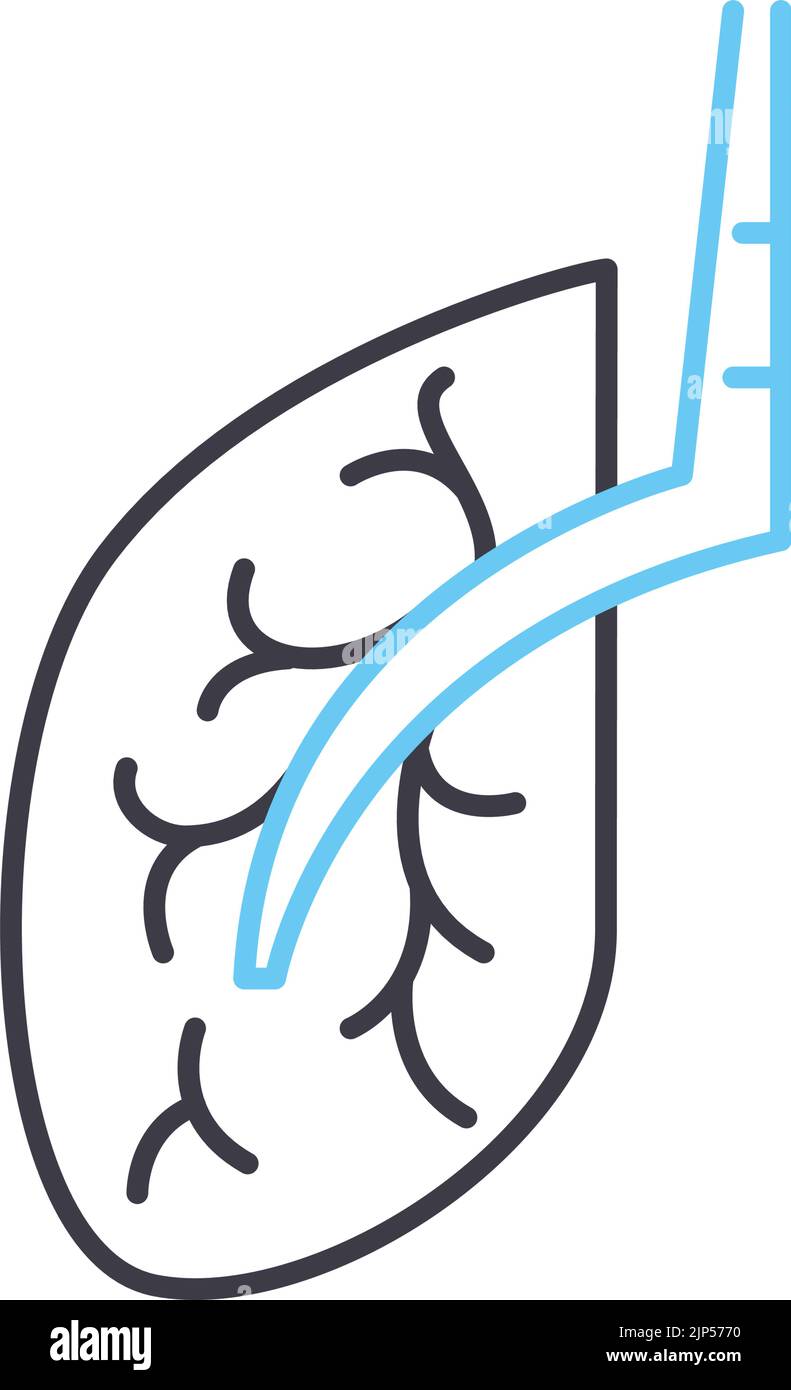 icona della linea di disabilità, simbolo di contorno, illustrazione vettoriale, segnale concettuale Illustrazione Vettoriale