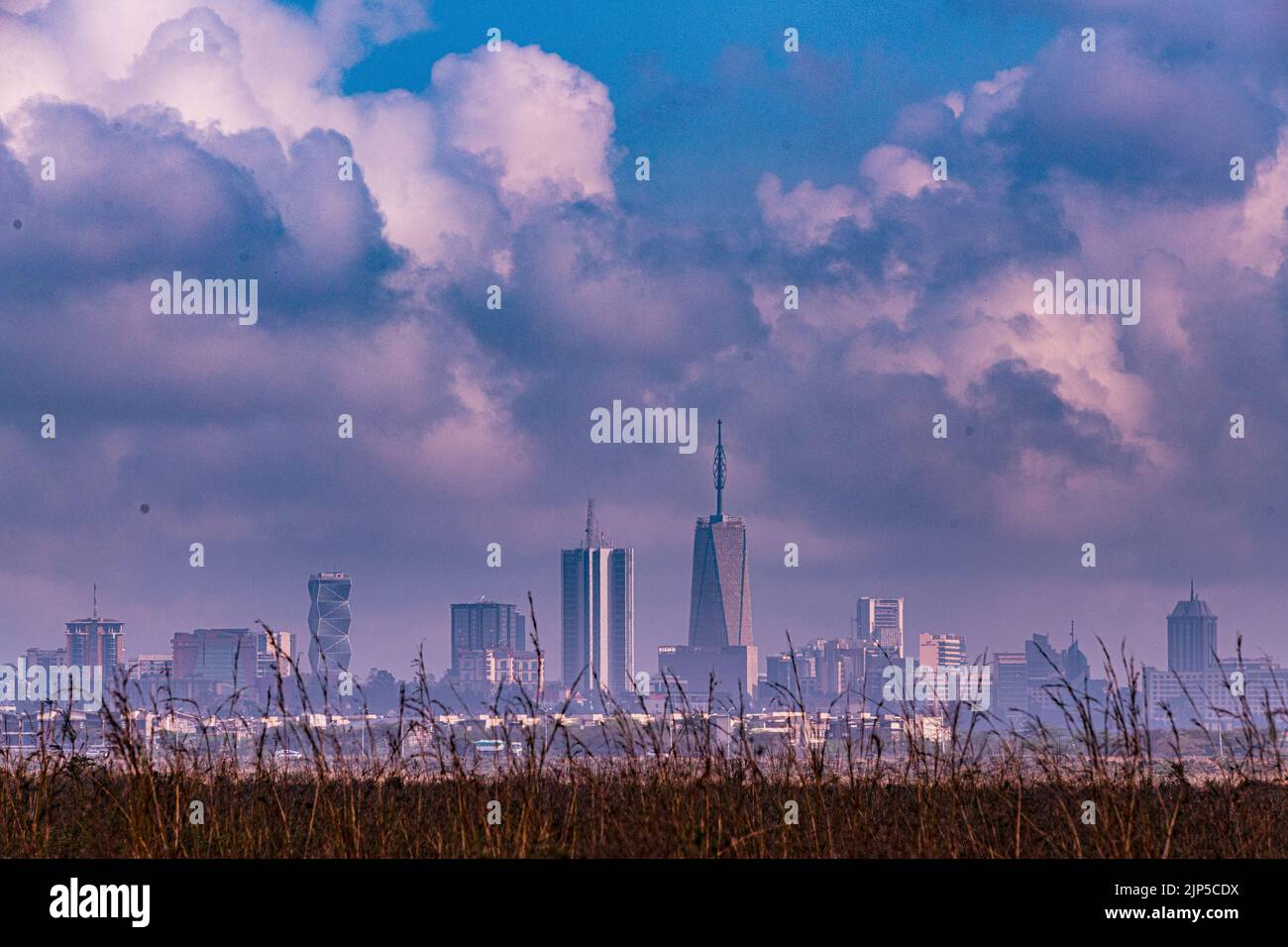 Nairobi City County National Park Birds Animals Wildlife savannah Grasslands Landscapes Panoramic Scenic Views Magical Kenya East Africa Discovery Exp Foto Stock
