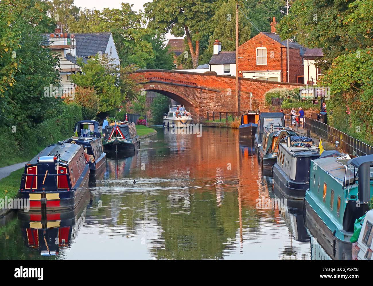Chiatta in una serata d'estate, arrivando attraverso il ponte Lymm, Bridgewater canale, Lymm, Warrington, Cheshire, INGHILTERRA, REGNO UNITO, WA13 0HU Foto Stock