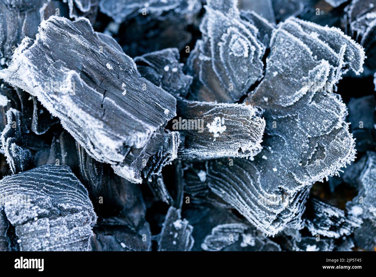 Carbone in sfondo di gelo. Carbone surgelato texture.Heating season.First gelate e colds.Coal in hoarfrost Foto Stock