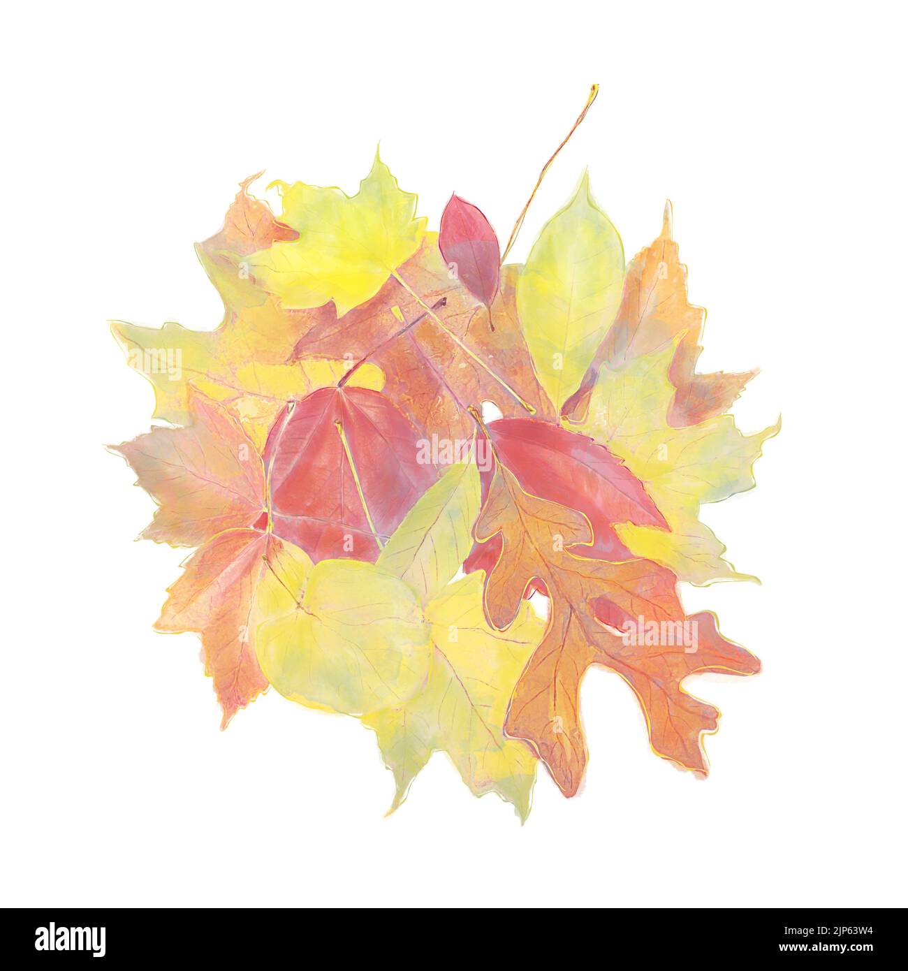 Acquerello immagine delle foglie colorate Autunno isolato su sfondo bianco Foto Stock