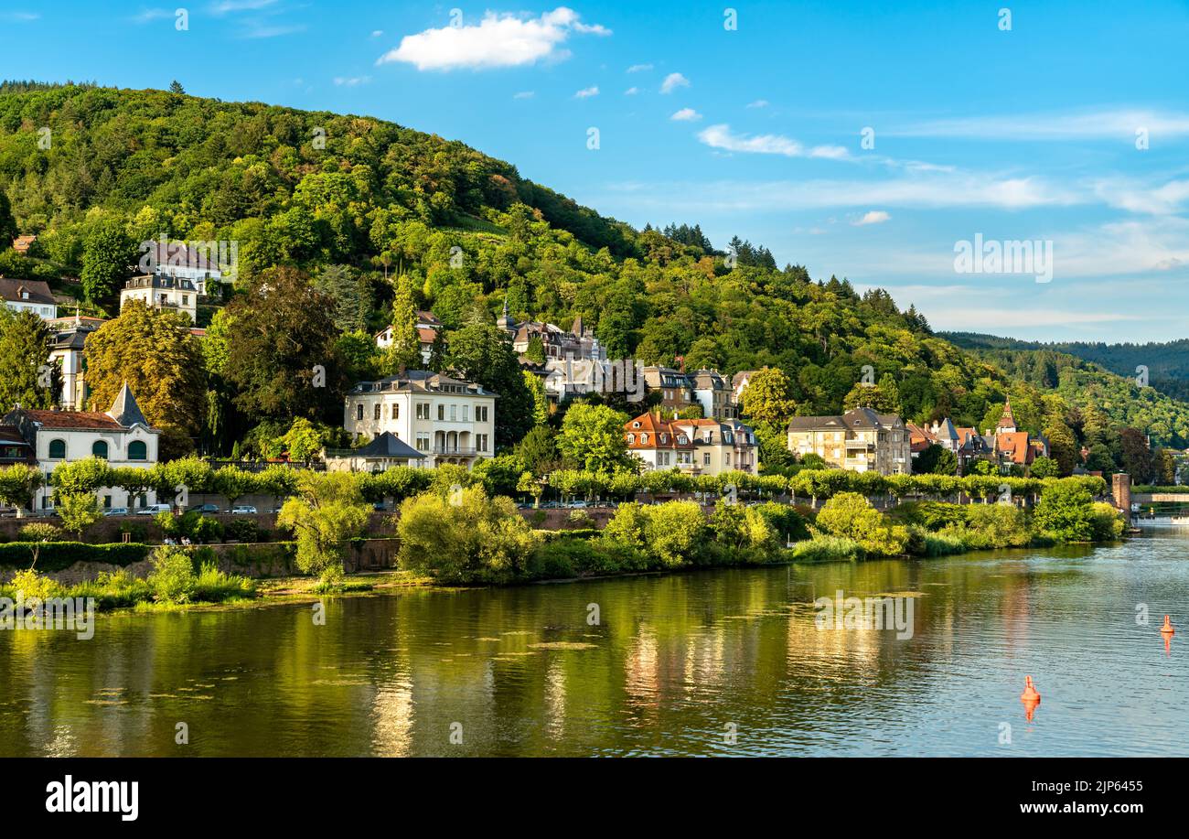 Il fiume Neckar a Heidelberg, Germania Foto Stock