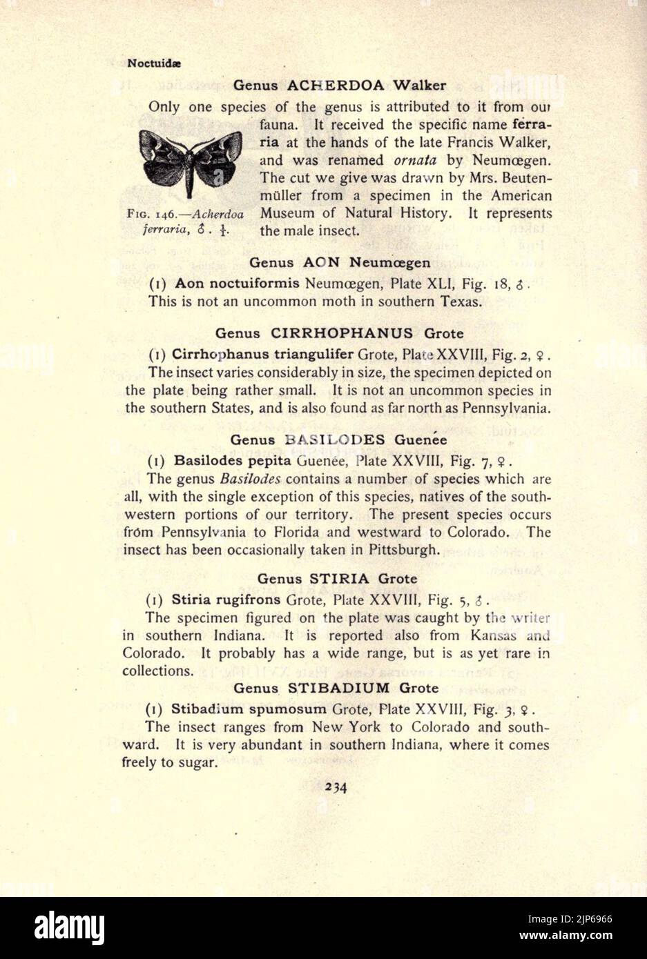 Il libro della falena (pagina 234, Fig. 146) Foto Stock