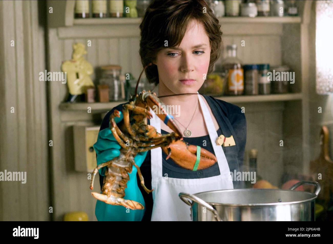 AMY ADAMS, Julie e Julia, 2009 Foto Stock