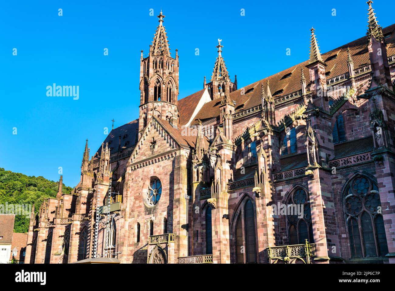 Freiburg Minster, la cattedrale di Friburgo in Breisgau, Germania sud-occidentale Foto Stock