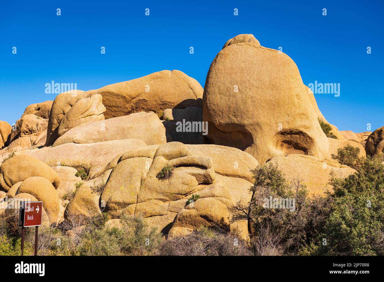 Skull Rock, Joshua Tree National Park, California USA Foto Stock
