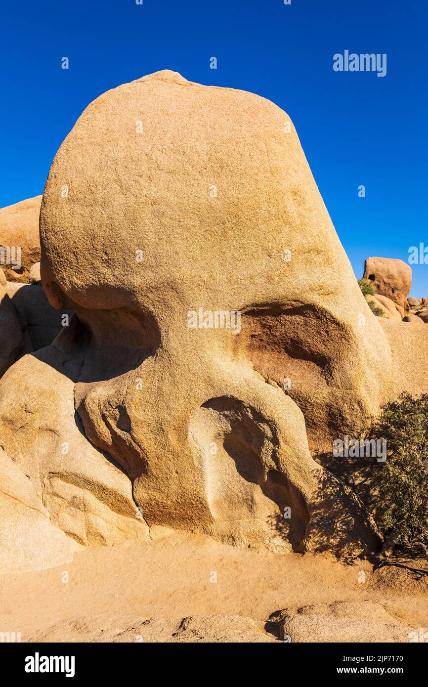 Skull Rock, Joshua Tree National Park, California USA Foto Stock