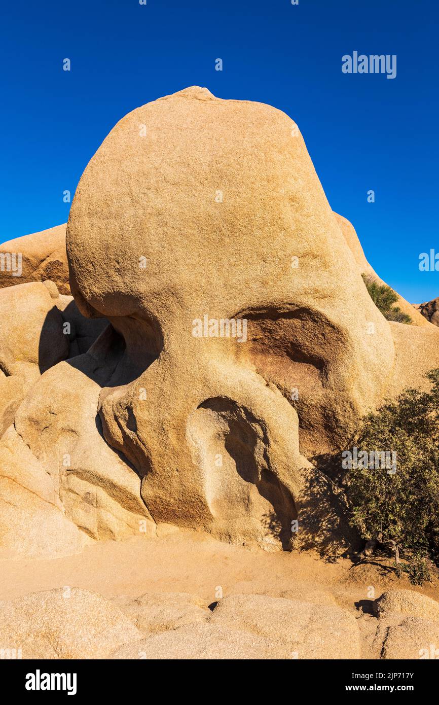 Skull Rock, Joshua Tree National Park, California USA Foto Stock