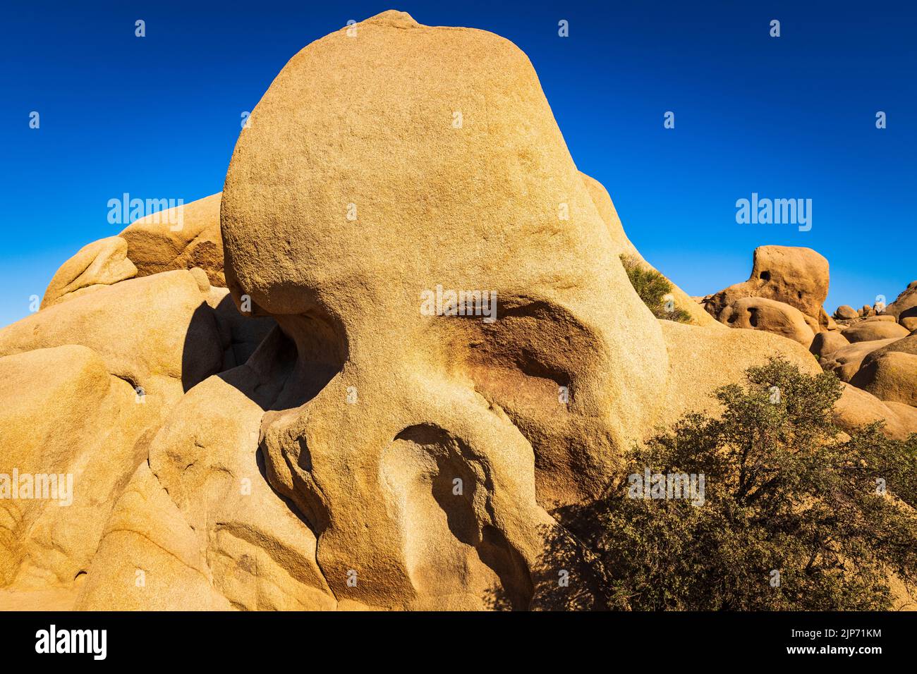 Skull Rock, Joshua Tree National Park, California USA Foto Stock