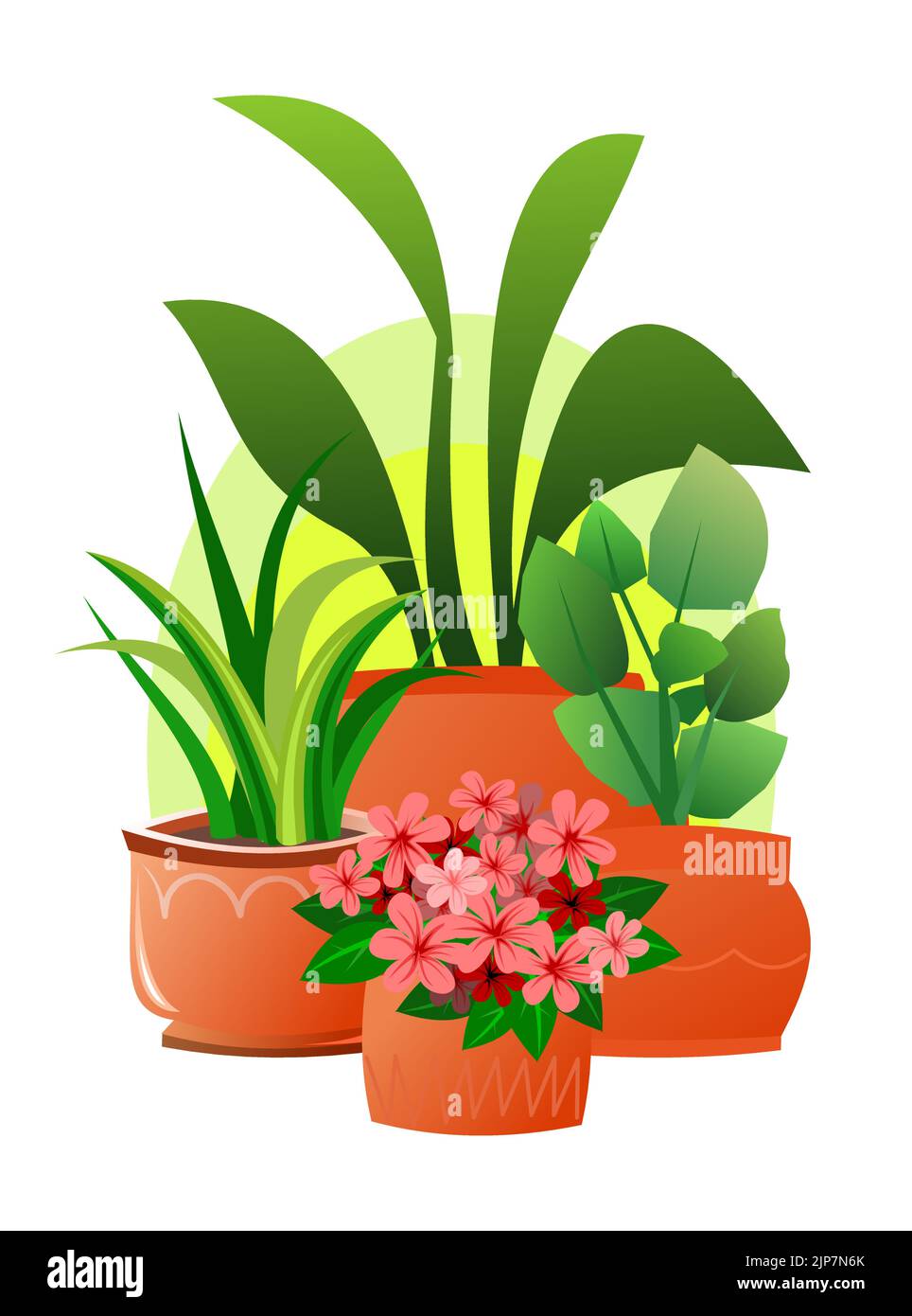 Piante e fiori interni. In pentole di ceramica. Ancora vita. Belle erbe fatte in casa. Isolato su sfondo bianco. Stile di divertimento cartone animato. Vettore. Illustrazione Vettoriale