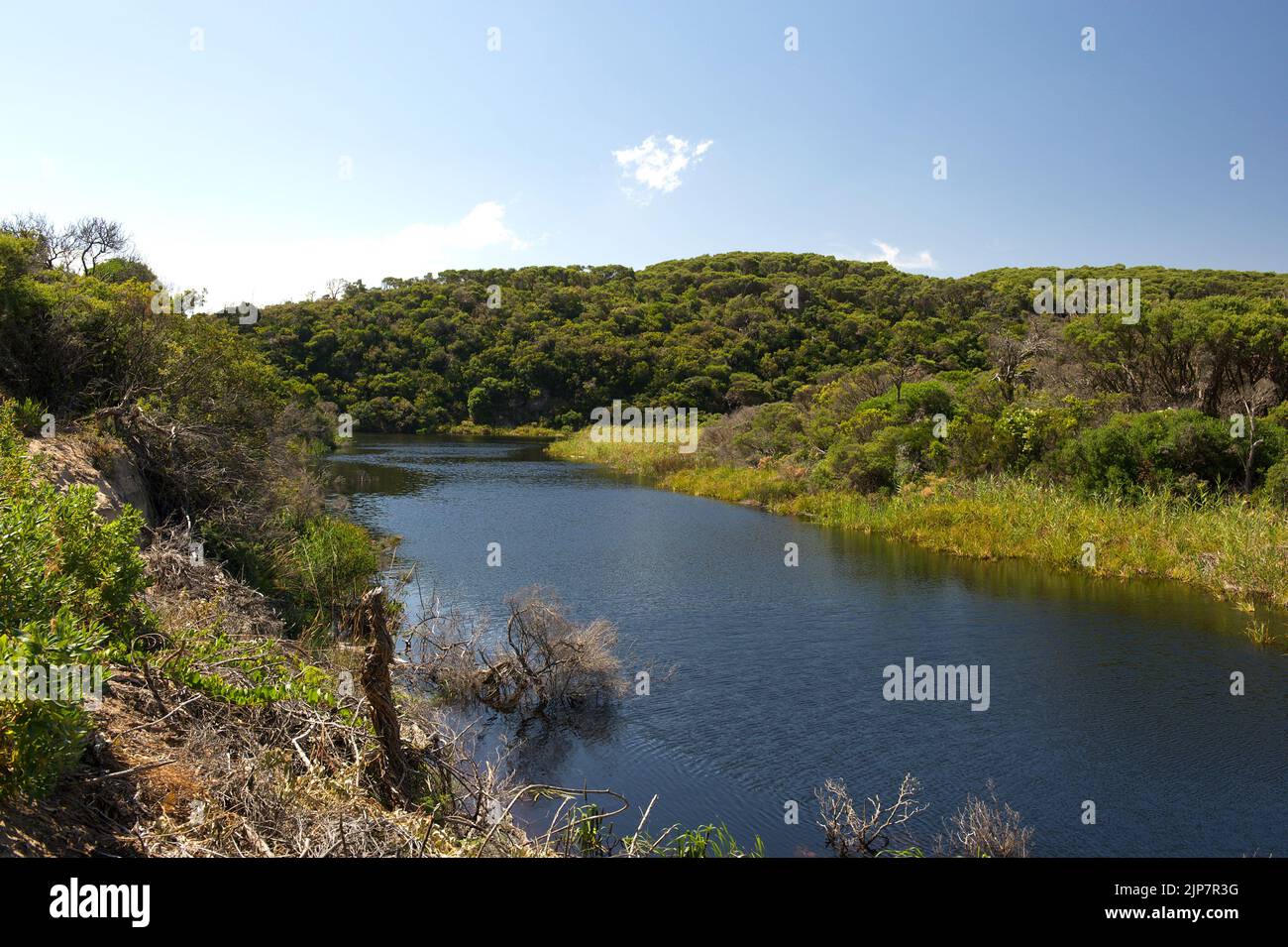 Darby River si trova a Wilsons Promontory National Park, a breve distanza dal seguente luogo di interesse: Tongue Point. Si bagna attraverso una grande duna di sabbia per arrivare al mare, quindi non c'è estuario. Foto Stock