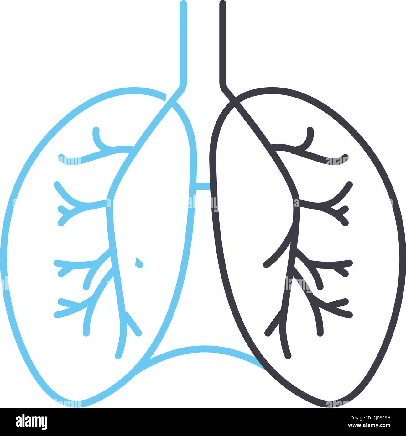 icona della linea del diaframma, simbolo del contorno, illustrazione vettoriale, segnale concettuale Illustrazione Vettoriale