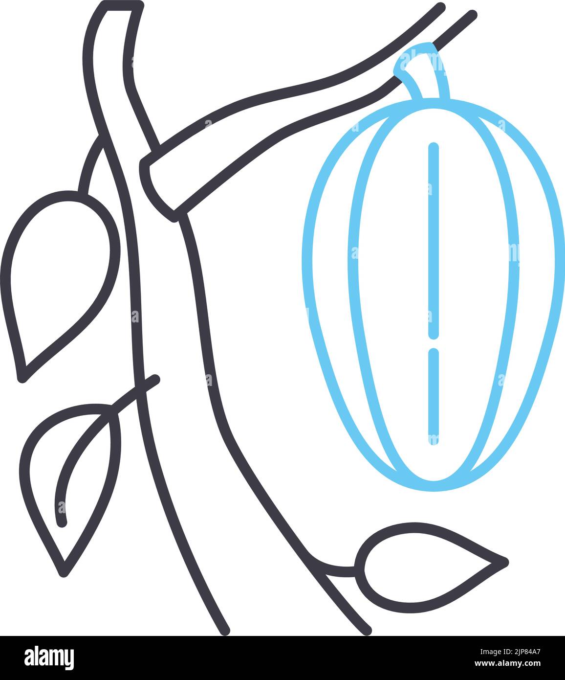 icona della linea cacao, simbolo di contorno, illustrazione vettoriale, simbolo concettuale Illustrazione Vettoriale