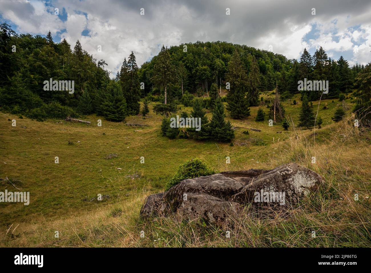 Paesaggio estivo di montagna della Transilvania. Foto Stock