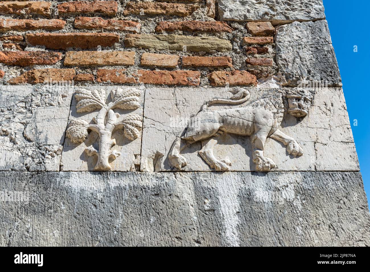 Rilievo con un leone e un albero sulla parete del monastero di San Nicola a Mesopotam, Albania Foto Stock
