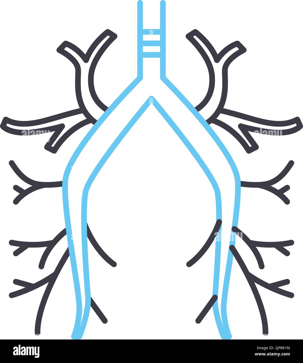icona della linea del bronco, simbolo del contorno, illustrazione vettoriale, segnale concettuale Illustrazione Vettoriale