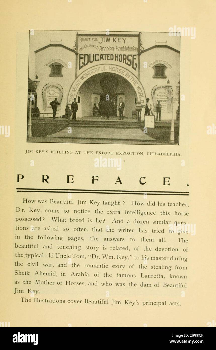 La storia della bella Jim Key Foto Stock