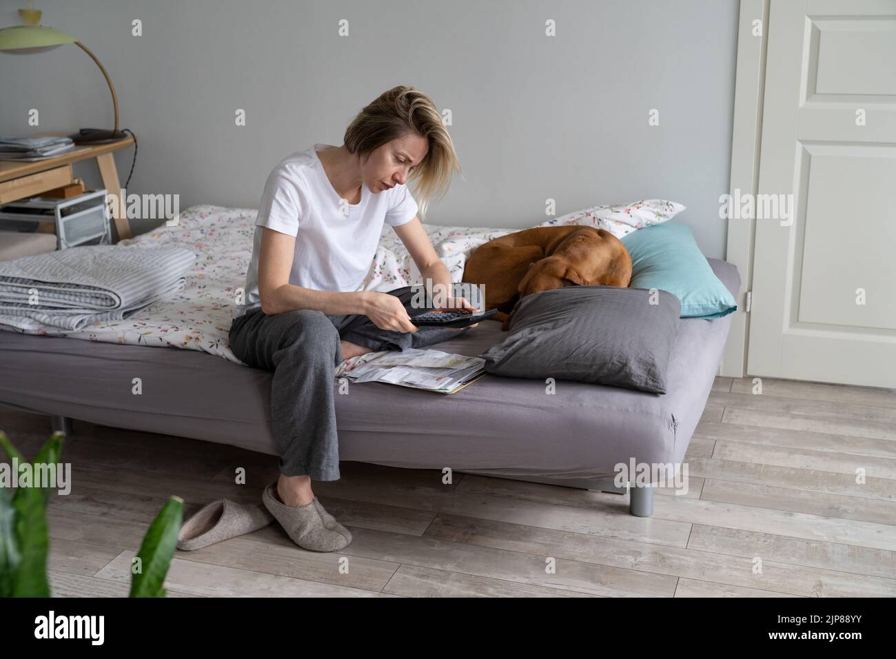 Donna matura concentrata cerca di contare tutte le fatture seduta sul letto vicino al cane addormentato Foto Stock
