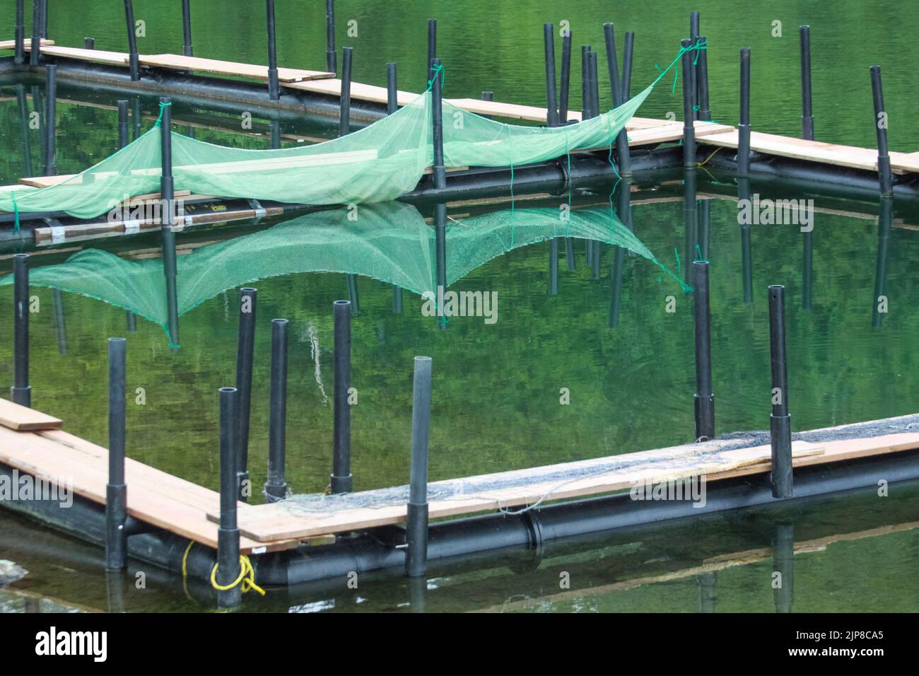 Pesca a Haines, Alaska Foto Stock