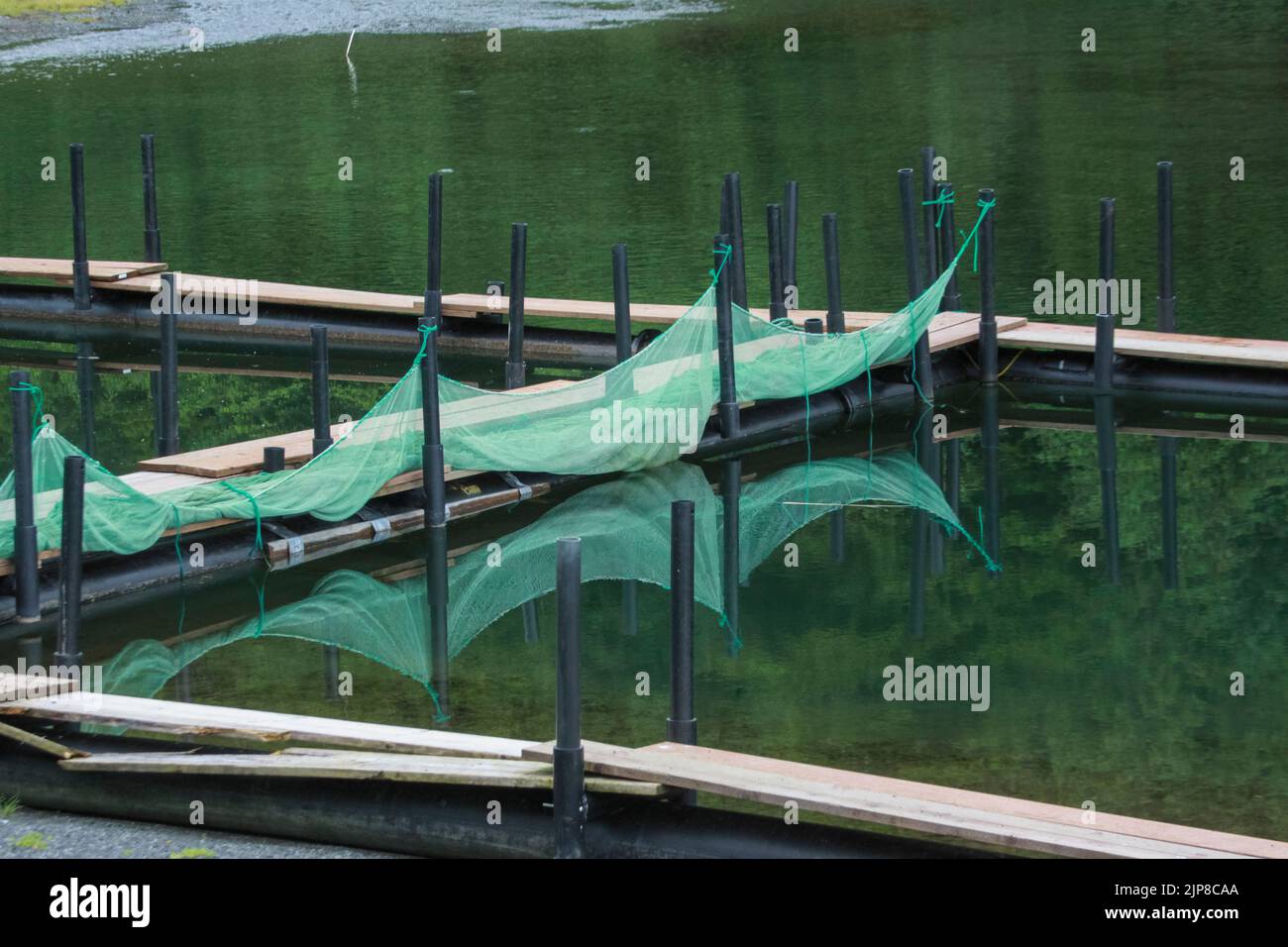 Pesca a Haines, Alaska Foto Stock