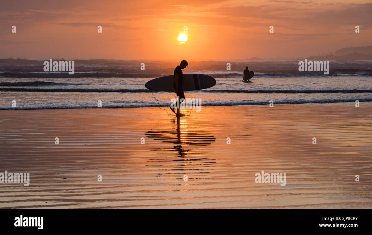 Tofino Vancouver Island Pacific Rim Coast, surfisti con surf durante il tramonto in spiaggia, surfisti silhouette Canada Vancouver Island Tofino Vancouver Islander Island Foto Stock