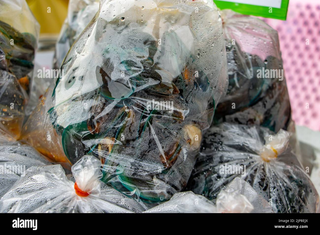 Cozze fresche in sacchetti di plastica per la vendita al mercato Foto Stock