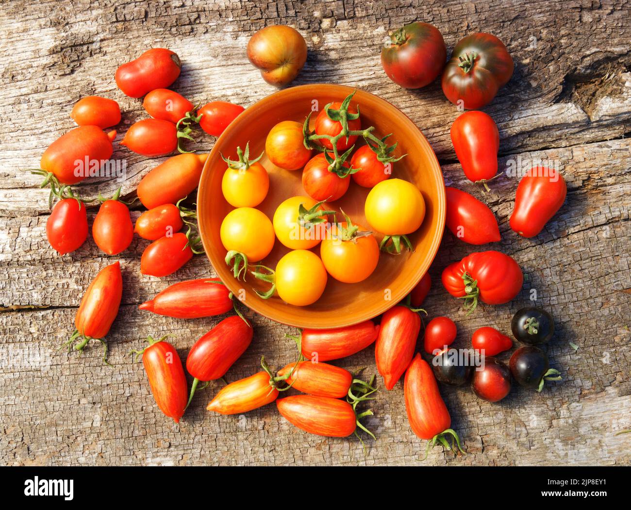Pomodori da giardino vegetali, varietà diverse Foto Stock